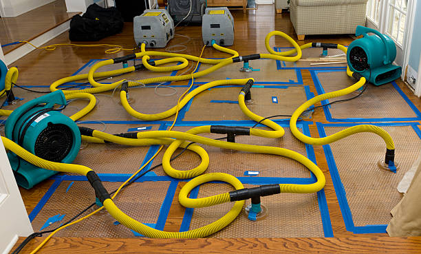 Professional Flood Damage Restoration technician working in Sterling Heights, MI